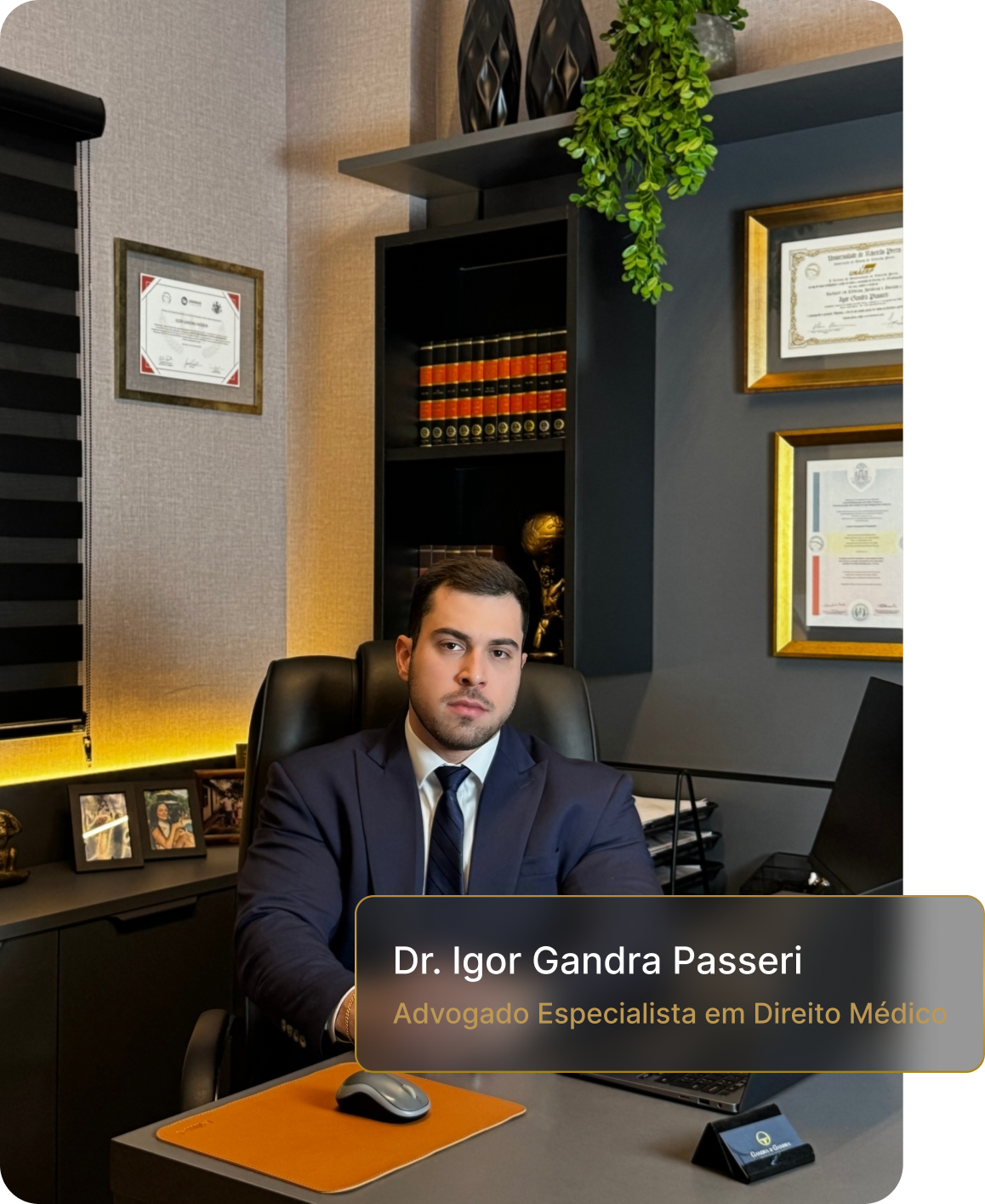 Advocacia Especializada em Direito de Família, Direito Medico, Direito Imobiliário e Direito Civil - Gandra e Gandra Advocacia
