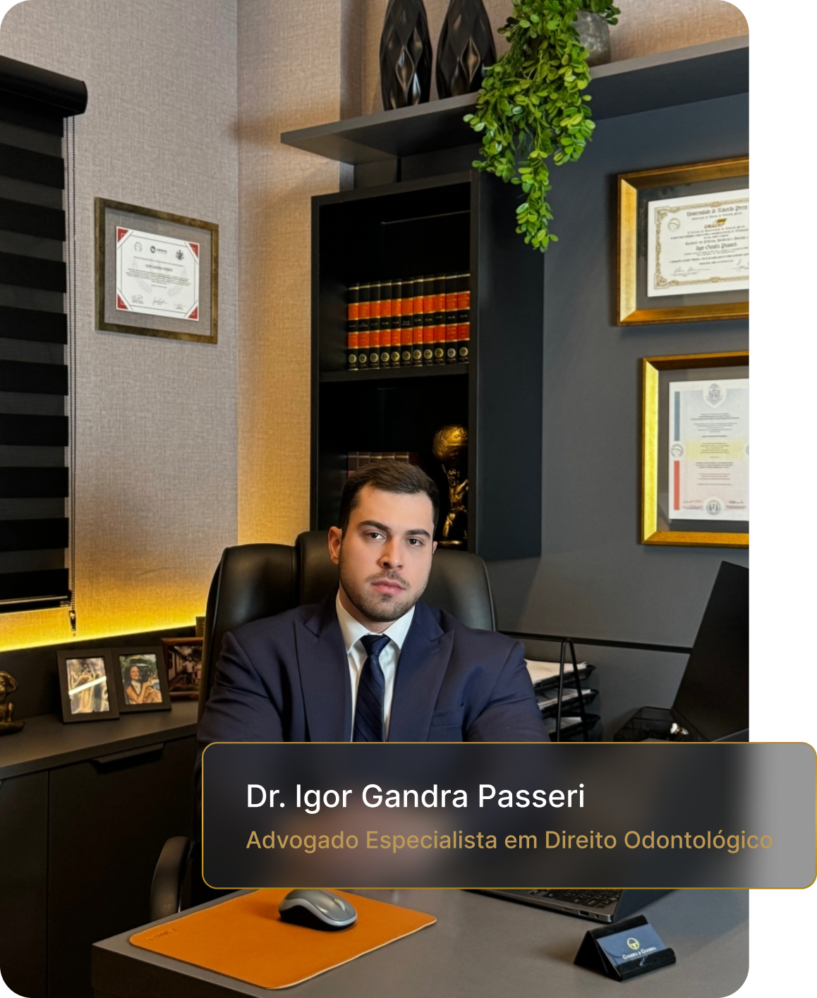 Advocacia Especializada em Direito de Família, Direito Medico, Direito Imobiliário e Direito Civil - Gandra e Gandra Advocacia